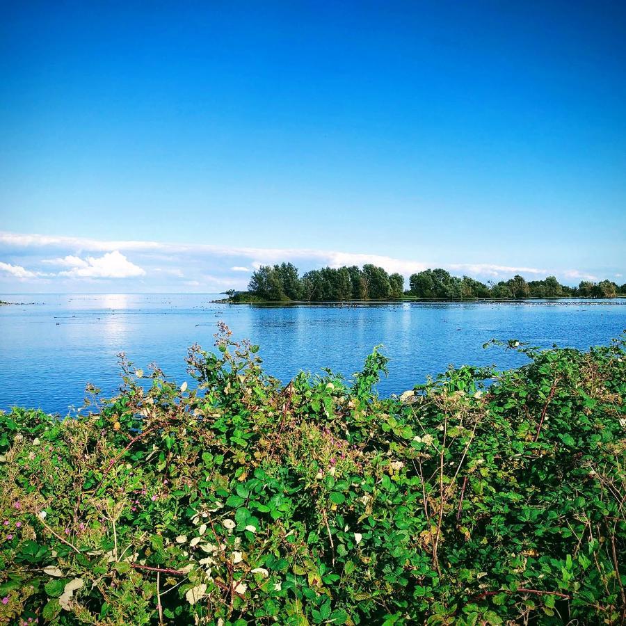 Oostwoud B&B Zusenzomer المظهر الخارجي الصورة