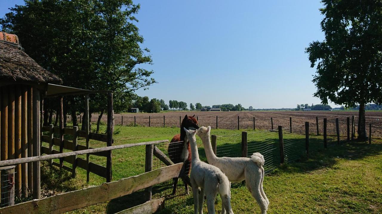 Oostwoud B&B Zusenzomer المظهر الخارجي الصورة