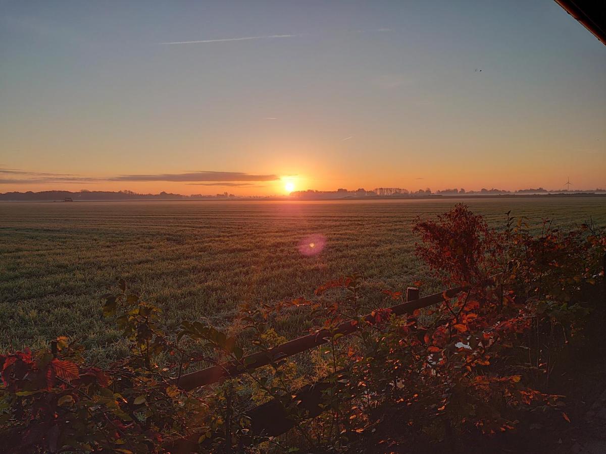 Oostwoud B&B Zusenzomer المظهر الخارجي الصورة